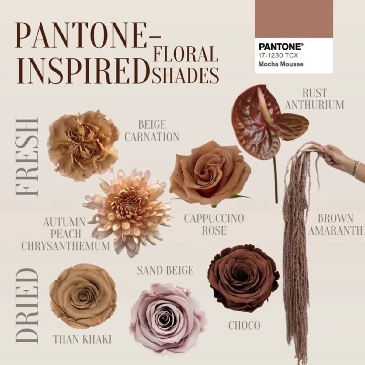 Mocha Mousse — Day Dream Affairs November signature blooms
